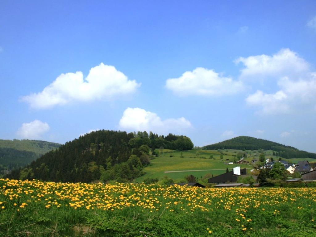 Cosy Apartment In Schwalefeld Near Willingen With Private Terrace Eksteriør bilde